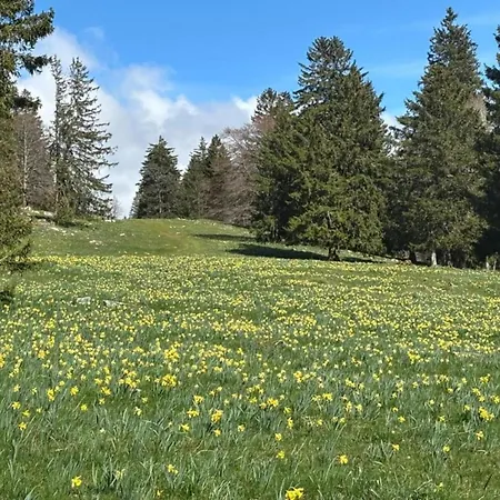 Kronenburger Countryside Stay, Cleaning Included Tatil Evi *